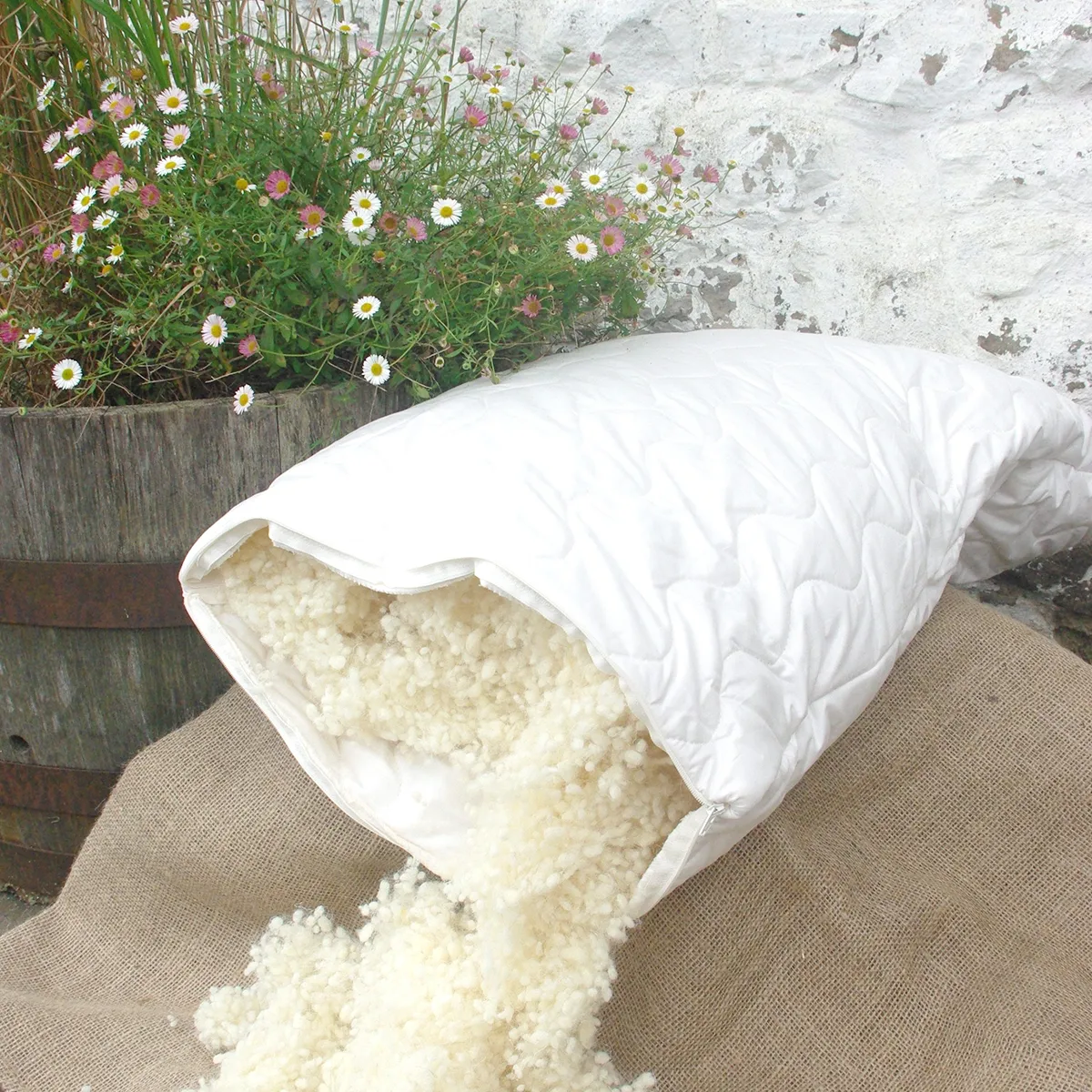 Organic Wool Pillow Pair