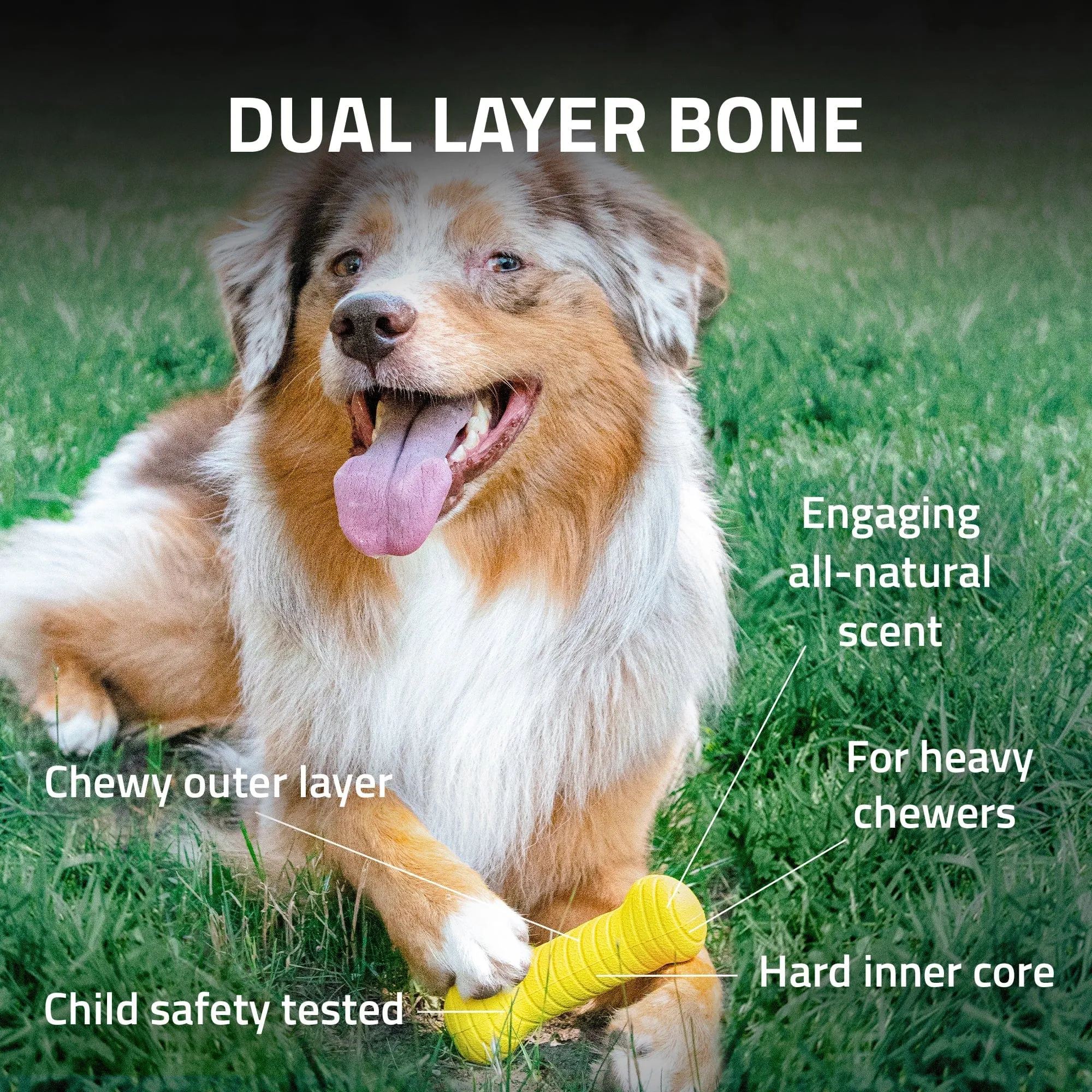 Playology Dual Layer Bone